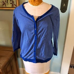 The Limited blue striped cardigan